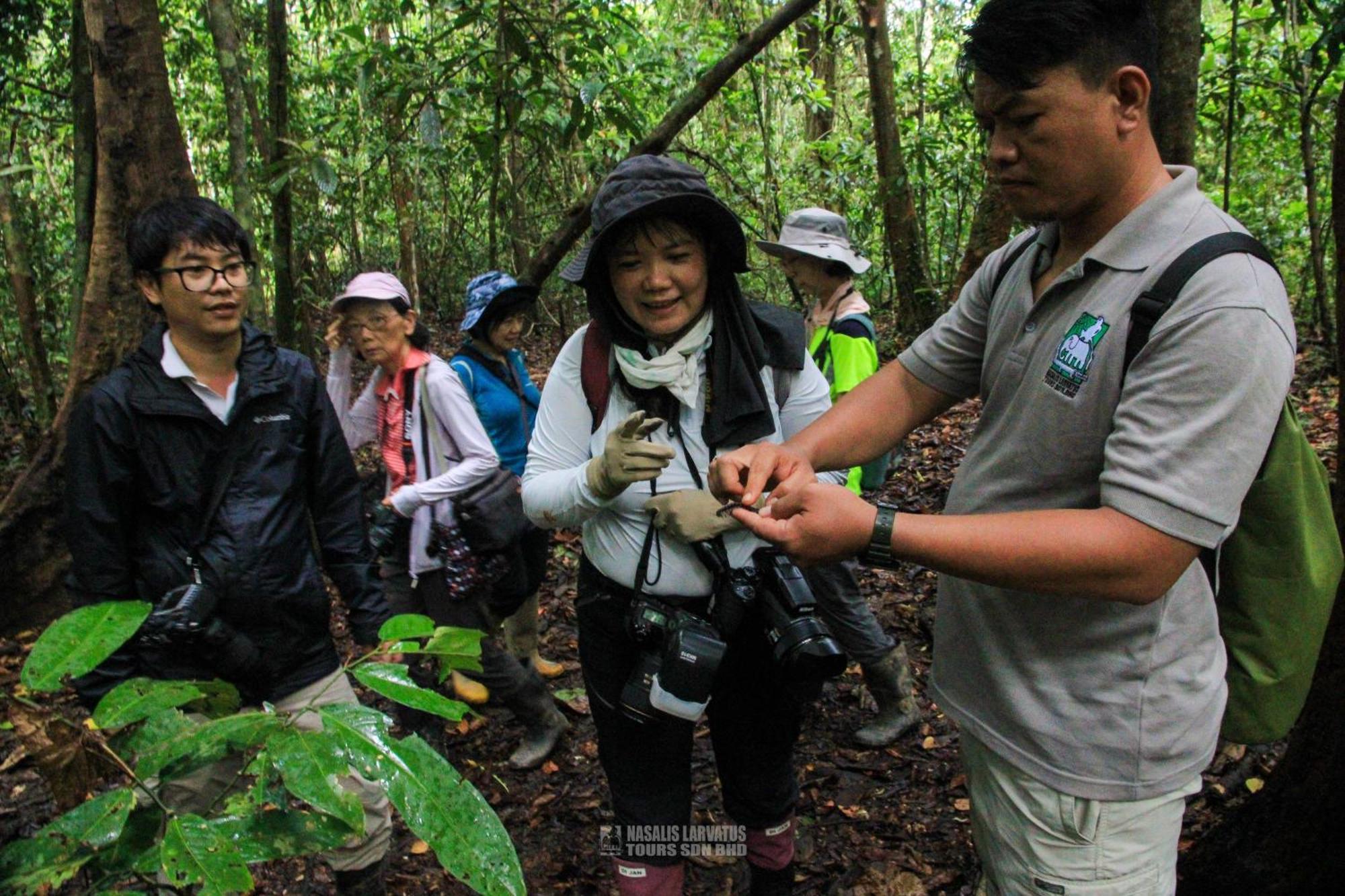 Tanini Kinabatangan Formerly Known As Nature Lodge Kinabatangan Bilit Dış mekan fotoğraf