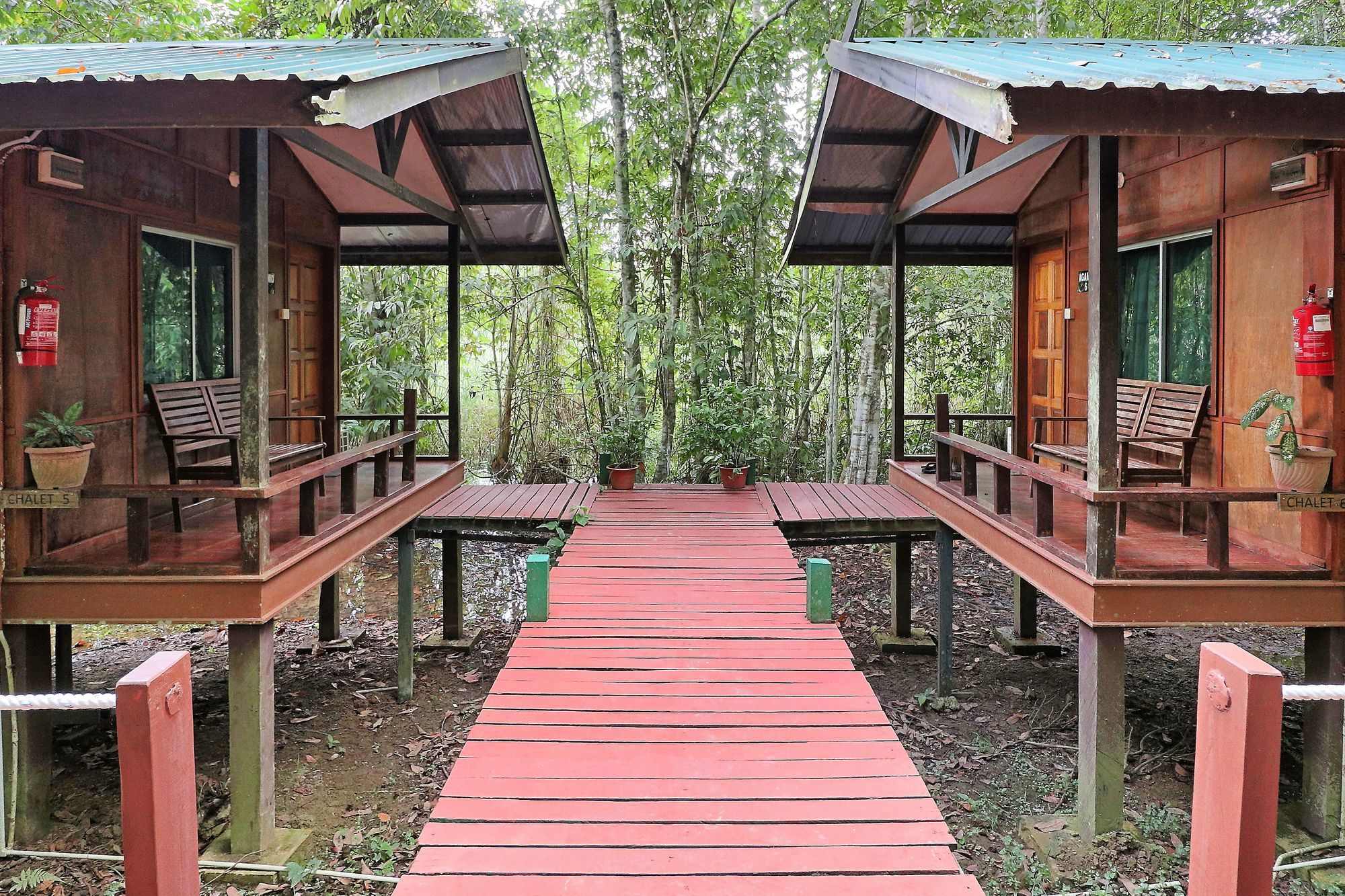 Tanini Kinabatangan Formerly Known As Nature Lodge Kinabatangan Bilit Dış mekan fotoğraf