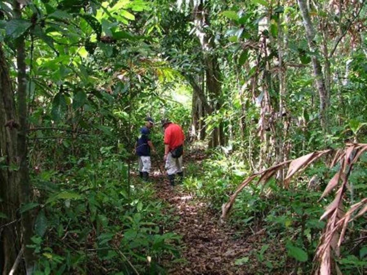 Tanini Kinabatangan Formerly Known As Nature Lodge Kinabatangan Bilit Dış mekan fotoğraf